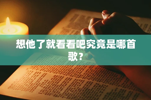 想他了就看看吧究竟是哪首歌？