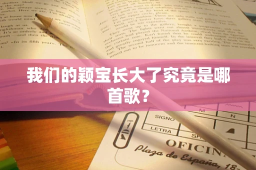 我们的颖宝长大了究竟是哪首歌？