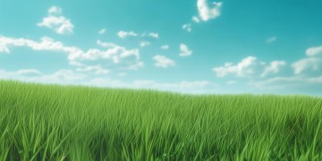 青青的草地蓝蓝天出自哪首歌？