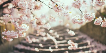 那首韩语歌给什么究竟是什么？