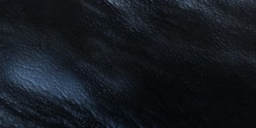 你的脸怎么这么黑究竟是哪首歌？